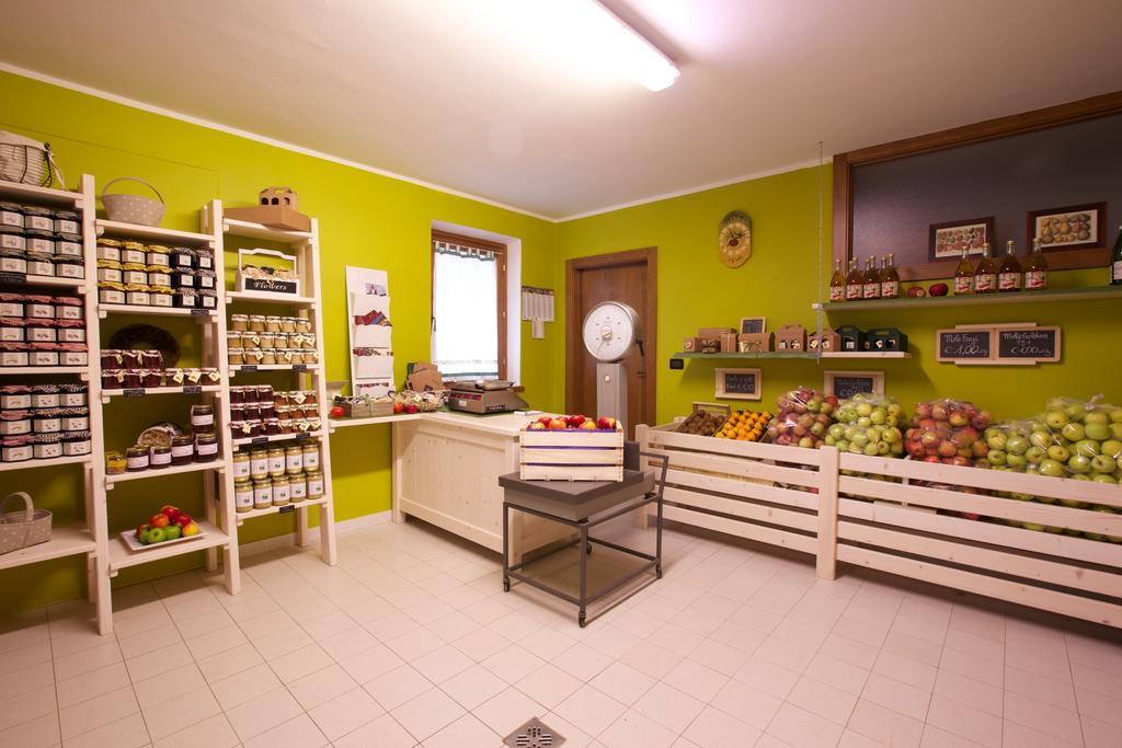 Agriturismo Al Picchio Villa Ala Eksteriør billede