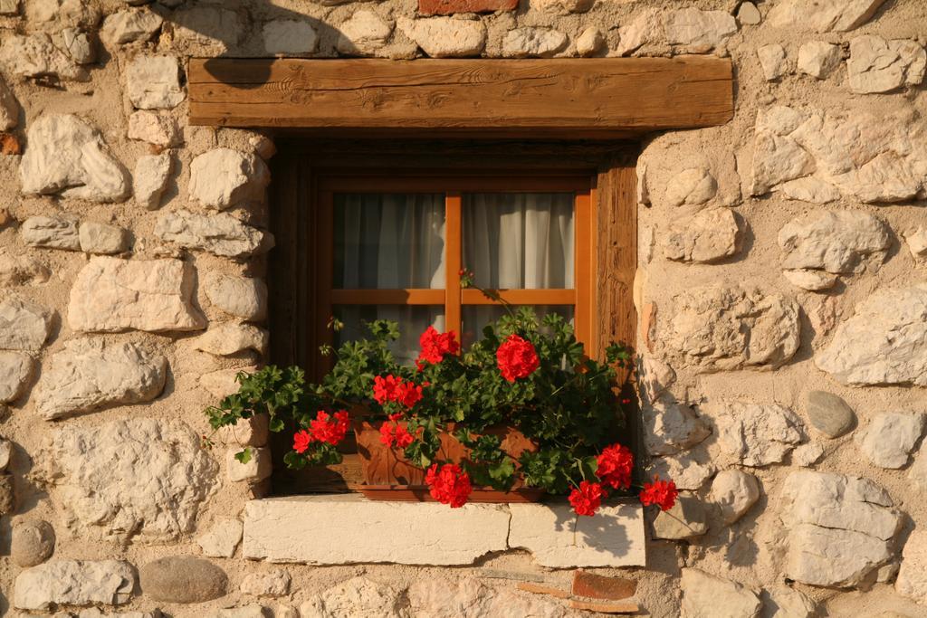 Agriturismo Al Picchio Villa Ala Eksteriør billede
